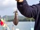 Squid Fishing – Squid Time in the Adriatic