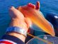 Pêche du calmar- Pêche du calmar dans l’Adriatique